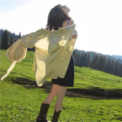 蝴蝶行动